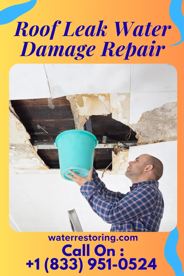 Roof Leak Water Damage Repair in Elvaston, IL